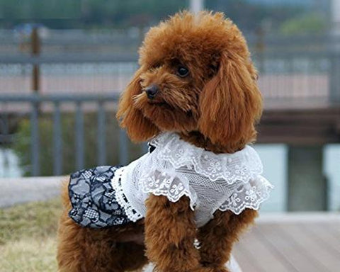 Lace Series Ribbon Dress Dog Clothes