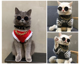 Retro Round Sunglasses with Golden Chain for Cats and Small Dogs