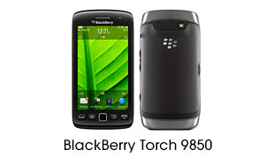 BlackBerry Torch 9850 Cases