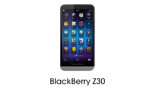 BlackBerry Z30 Cases