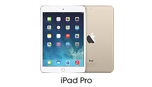 iPad Pro Cases