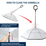 Small Dog Umbrella Clear Adjustable Leash