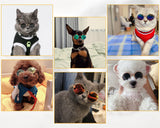 Dog Glasses for Small Dogs Set of 6 Pet Sunglasses for Cats Retro Round Doll Sunglasses Photo Props