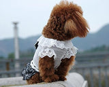 Lace Series Ribbon Dress Dog Clothes