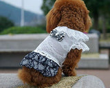 Lace Series Ribbon Dress Dog Clothes