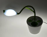 Plant Shape LED Desk Light with Pen Holder - Green