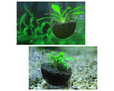 Aquatic Plant Cups 2 Pieces Glass Plant Pot Holders with 2 Suction Cups