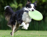 Dog Flying Saucer Training Frisbee