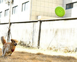 Dog Flying Saucer Training Frisbee