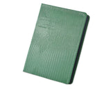 Luxury Card Holder Photo Album for Fujifilm Instax Mini Films - Green