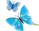 12 pieces DIY Home Decoration 3D Butterflies Wall Stickers