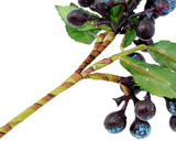 Decorative Lifelike Artificial Fruit Berries