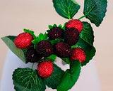 Decorative Lifelike Artificial Fruit Small Berries