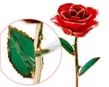 24K Gold Plated Preserved Rose