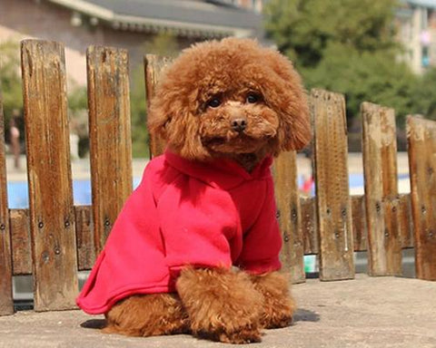 Fashion Series Dog Hoodie Sweatshirt - Red