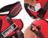 Canvas Series Pet Dog Harness for Outdoor Hiking Walking