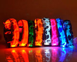 Camouflage Series Dog Collar with LED Light