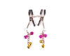 Chain and Bells